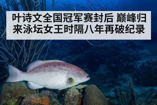 叶诗文全国冠军赛封后 巅峰归来泳坛女王时隔八年再破纪录